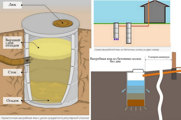 Расположение септика фото