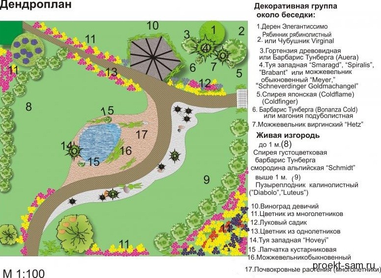 Дендроплан ландшафтного проекта