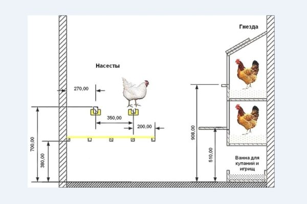 Насесты для кур размеры чертежи