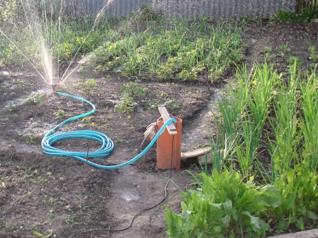 Система полива огорода своими руками из шланга
