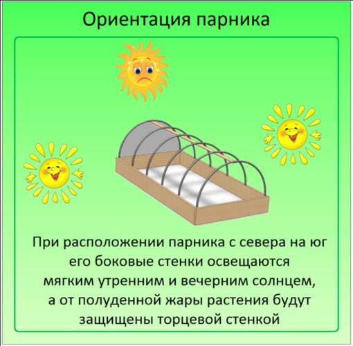 Как правильно поставить теплицу на участке по сторонам света фото и описание