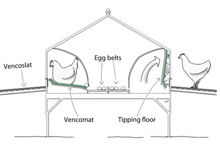 Гнезда для кур несушек с яйцесборником своими руками фото размеры и чертежи