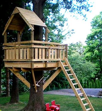 дом на дереве лестница