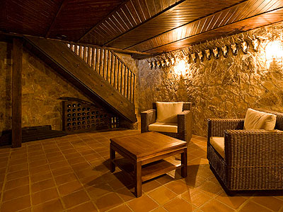 Проекты одноэтажных и двухэтажных домов с подвалом с мансардой и без нее (одноэтажный, двухэтажный, подвал, мансарда, подвального помещения) подвал