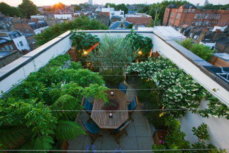 зеленый сад на крыше